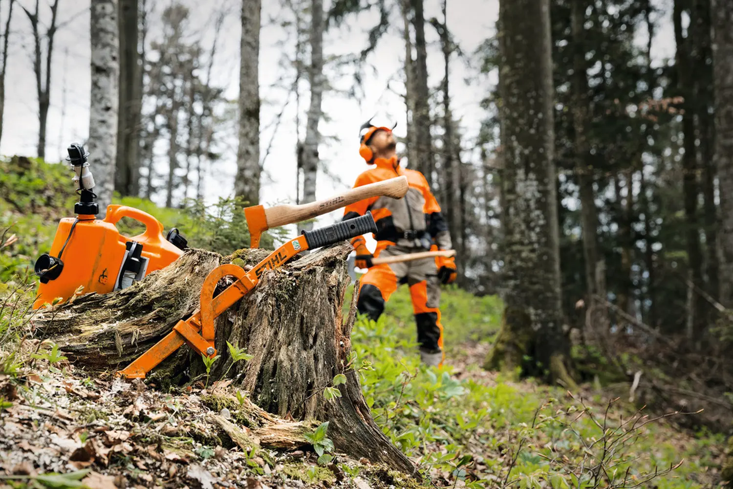 Mann Baum fällen von B&L GbR  
